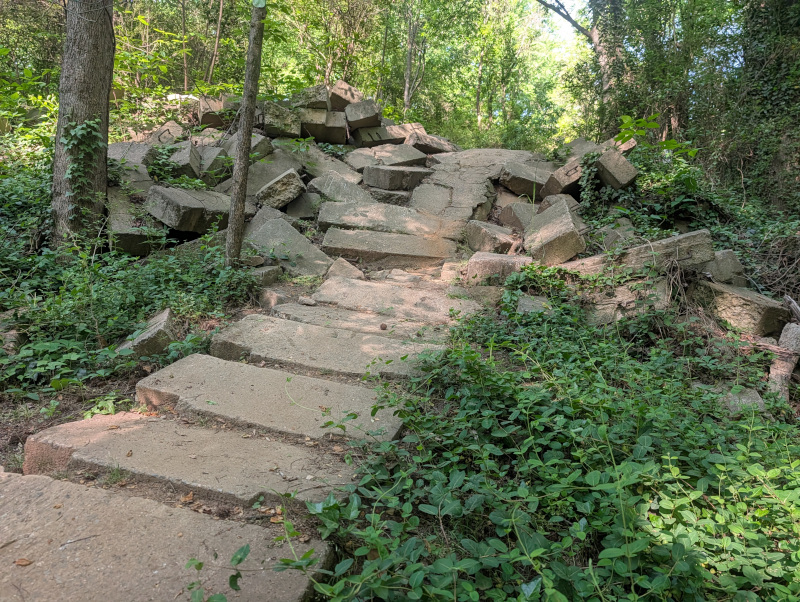 Janky backyard climb