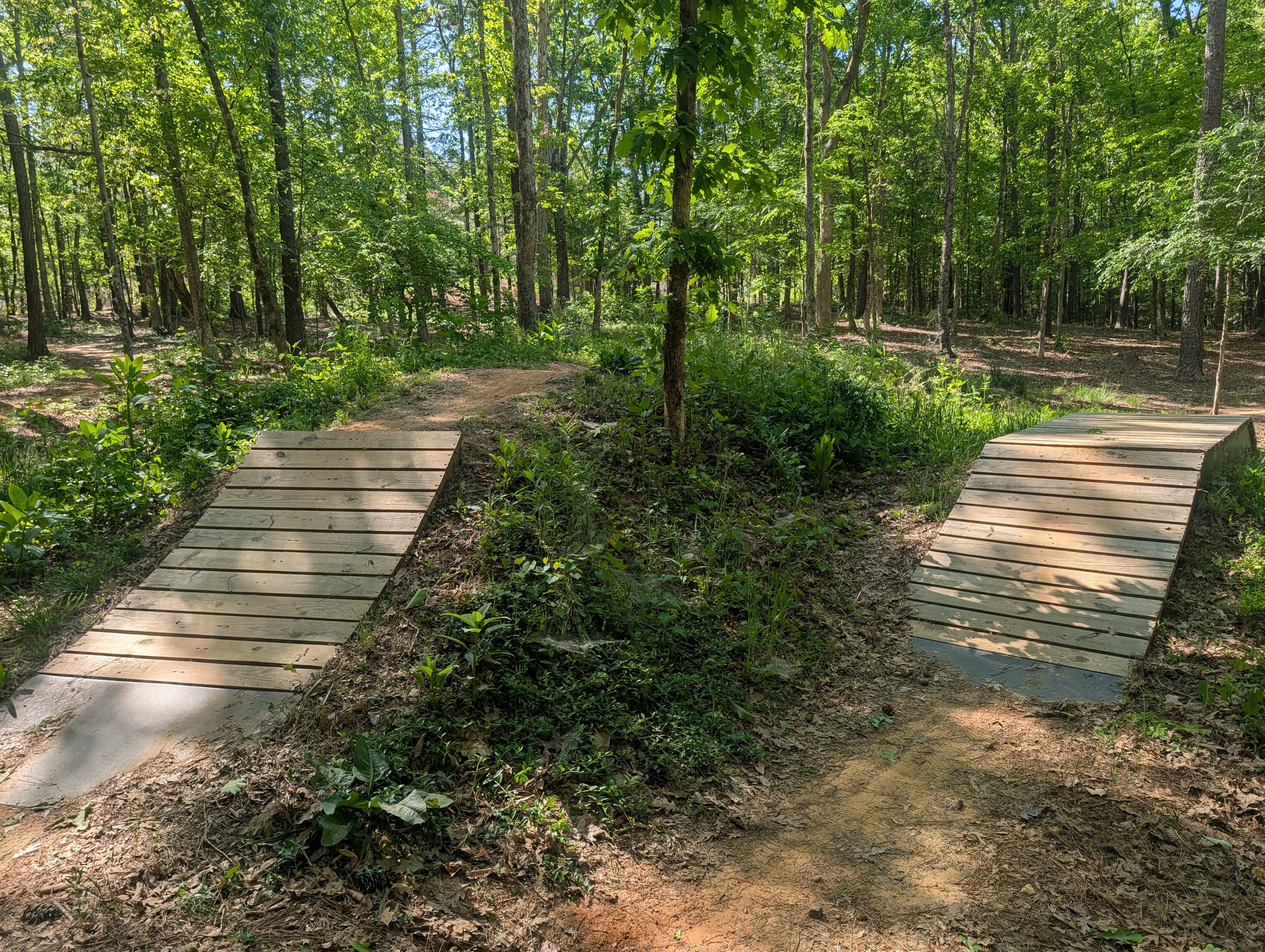 Table Top Jumps at the MTB Skills Park